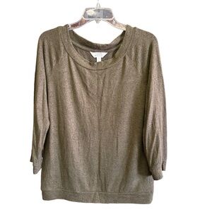 Market Spruce Womens Sweater Green 3/4 Sleeve Scoop Neck Knit Pullover Size M